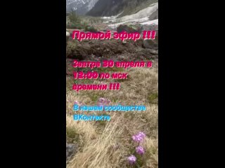 Video by Стильная женская одежда 48-66 р I Fantasy Vik