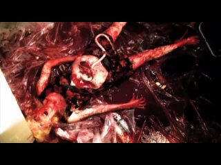 Тошнотная камера медленных пыток / Slow Torture Puke Chamber (2010)