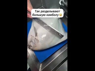 Она всё ещё жива? (видео)