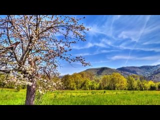 Раяз Фасихов - Сиреннэр