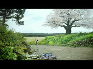 Сакура Яэ / Yae no Sakura - 3 серия (субтитры)