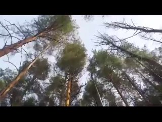 Мордовская песня