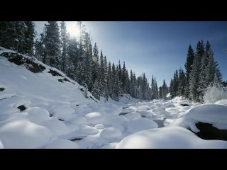 Юрий Магомаев - Отлюбили мы с тобой