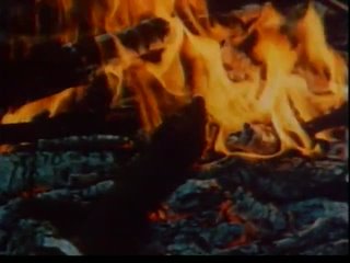 Журавль по небу летит (песня из х-ф