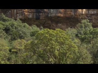 Материк Африка_ Колыбель цивилизации _ Интересные факты про Африканский континен