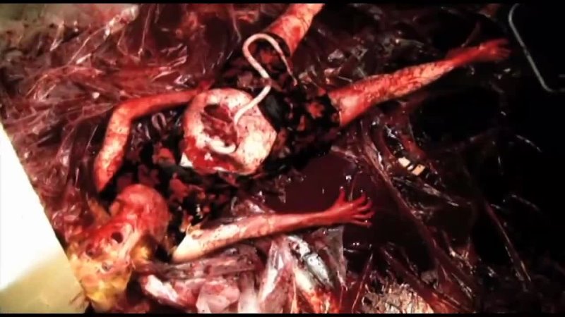 Тошнотная камера медленных пыток / Slow Torture Puke Chamber (2010) | vk.com/public4091193