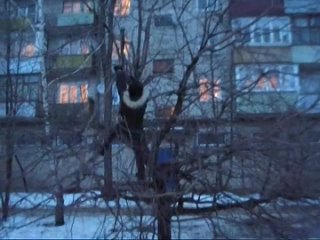Колесики :D