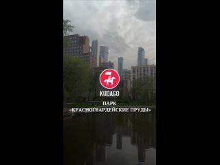 Картинки со смыслом или без... (видео)