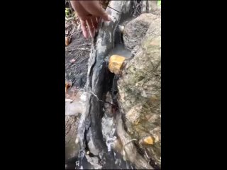 Важно понимать, где возможно обнаружить драгоценное золото. (видео)