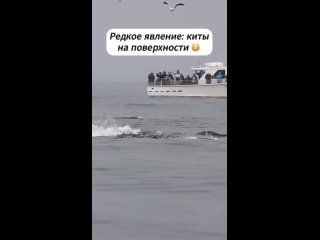 Красота природы (видео)