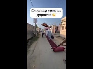 Что здесь происходит? (видео)