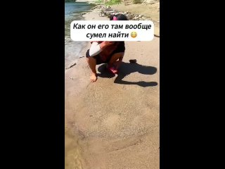 Добыча ужина? (видео)