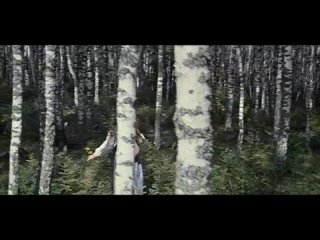 ЗОЛОТЫЕ РОГА (1972, Александр Роу). Сказка