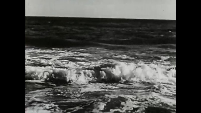 Meshes of the Afternoon (Maya Deren 1943)