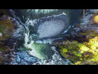 Китой 2023.  Команда «Водный туризм» (видео)