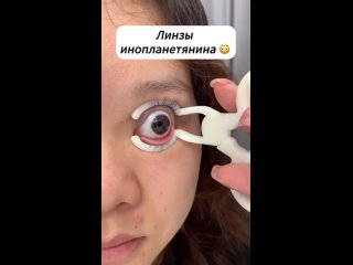 Это уже какое-то безобразие. (видео)