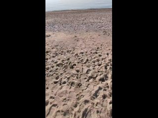 Хватит травить душу и провоцировать! 🤣🤣 - Евгений Белецкий