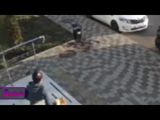 В Краснодаре пенсионерку серьезно покусал булли, а ее пса чуть не загрыз — хозяйка агрессивного животного принципиально... (видео)