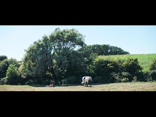 империя.D.WEB-DLRip