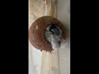 Напряжённая неделя позади.