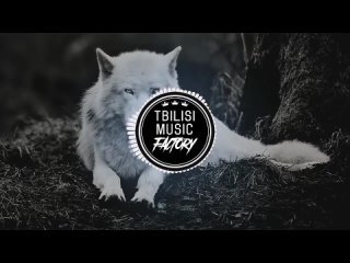 Доля Воровская (2020)