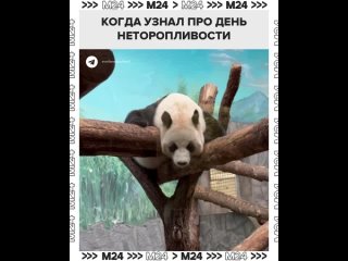 Ме-е-е-едленно открываем пост. Замедляемся.    Неважно, какие у вас планы на вечер, провести его лучше в расслабленном... (видео)