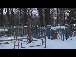 Дорогие друзья!