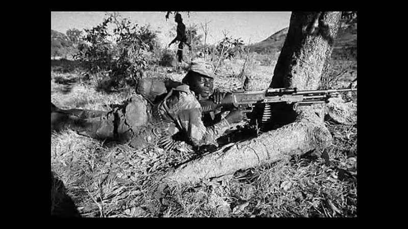 The Bush War In Rhodesia