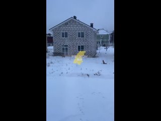 Вот таких двух милых лисичек заметили в Новопокровском.  Теперь к людям они решили выходить парами.  За видео спасибо... (видео)