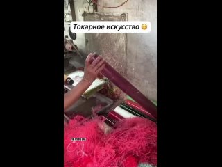 Что они здесь делают? (видео)
