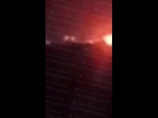 Первые весенние подарки полетели. - Александр Сергеев