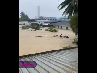 На малайзийские провинции Саравак и Сабах обрушилось наводнение — пострадали уже более 10 тыс местных жителей    После... (видео)