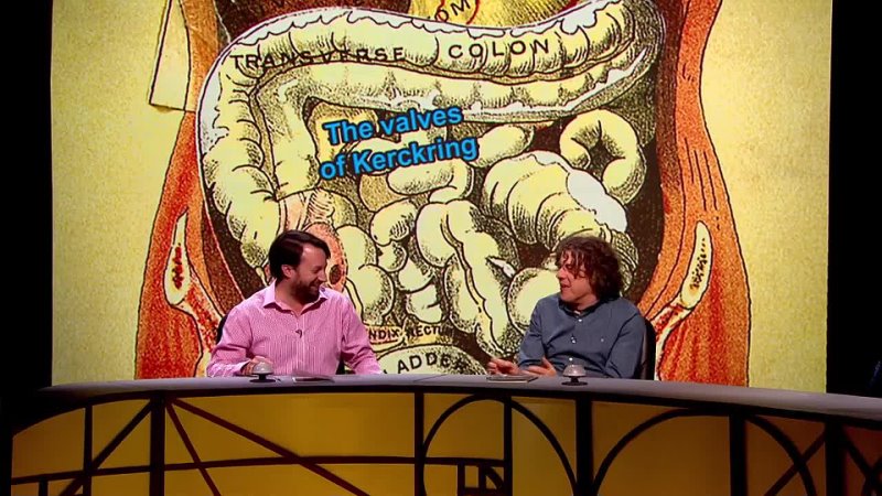 QI (Quite Interesting) Series K Episode1, Knees And Knockers: