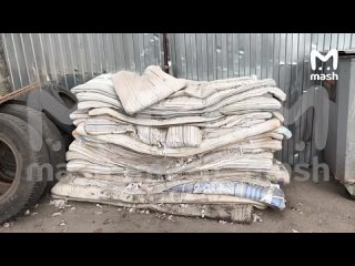 Золотистый стафилококк мог стать причиной массового отравления в хостеле на юге Москвы. Об этом Mash рассказал... (видео)