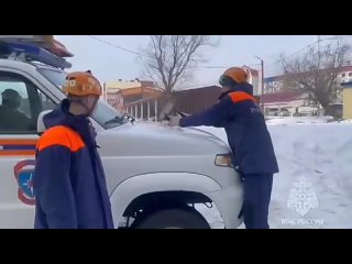 🕊На Камчатке спасли голубя    К голубям можно относиться по-разному, но для нашего МЧС, как утверждает само ведомство,... (видео)