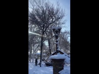 Зимний парк Лога ❄️ (видео)