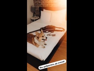 Алексей Воробьёв: Пожары в Лос-Анджелесе, чрезвычайное положение и эвакуация. stories 09.01.2025