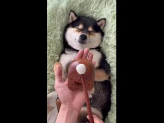 Доброе утро! (видео)