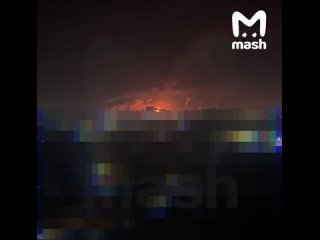 Перестаньте снимать и выкладывать в инет результаты ударов. Стремление пиариться работает на врага. Он прекрасно видит... - Gringo Kolt