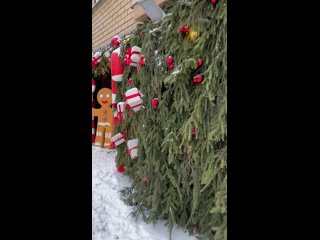 Алые оттенки Казани (видео)