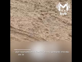Чиновники Белореченской администрации фоткались возле чужих мешков с мазутом, потому что испугались проверки. Так... (видео)