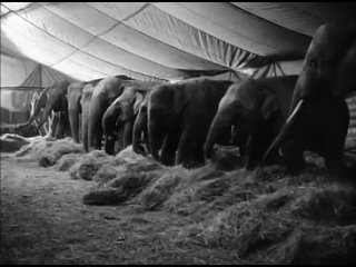 Артисты под куполом цирка: Беспомощны / реж. Александр Клюге / 1968