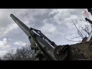 💐 «Тюльпаны» заказывали?    #Подъем (видео)