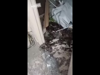 Украинские беспилотники, атаковавшие Подмосковье и Москву, были начинены поражающими элементами — подшипниками для... (видео)