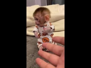 Да задрали уже эти нейросети. Скоро воистину будет - "не верь глазам своим"🥴 - Наталья Петрова