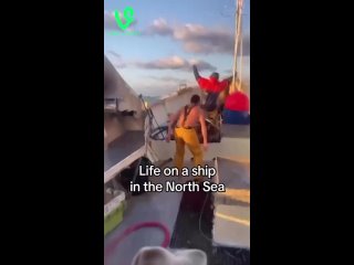 Стихия способна быть чрезвычайно опасной. Ужасно красиво! (видео)