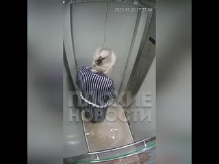 Пенсионерка устроила беспорядок, чтобы отомстить невестке  Жители дома, уставшие от постоянного неприятного запаха в... (видео)