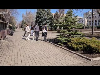 Readovka поздравила донецких женщин с 8 Марта  В Донецке Readovka устроила праздничную акцию, поздравив мам, женщин и... (видео)