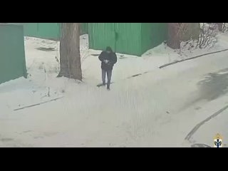 Новосибирец ограбил 90-летнюю бабушку на Красном проспекте  Правоохранители задержали мужчину, подозреваемого в краже... (видео)