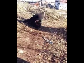 Башкирский школьник ногами по голове бил лежачего мальчика-инвалида, пока толпа дружков изверга снимала это на камеру и... (видео)